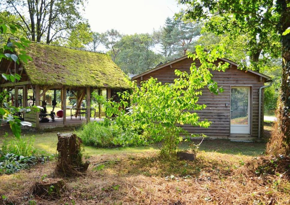 בינון Chalet Cosy Au Coeur De La Foret De Broceliande מראה חיצוני תמונה