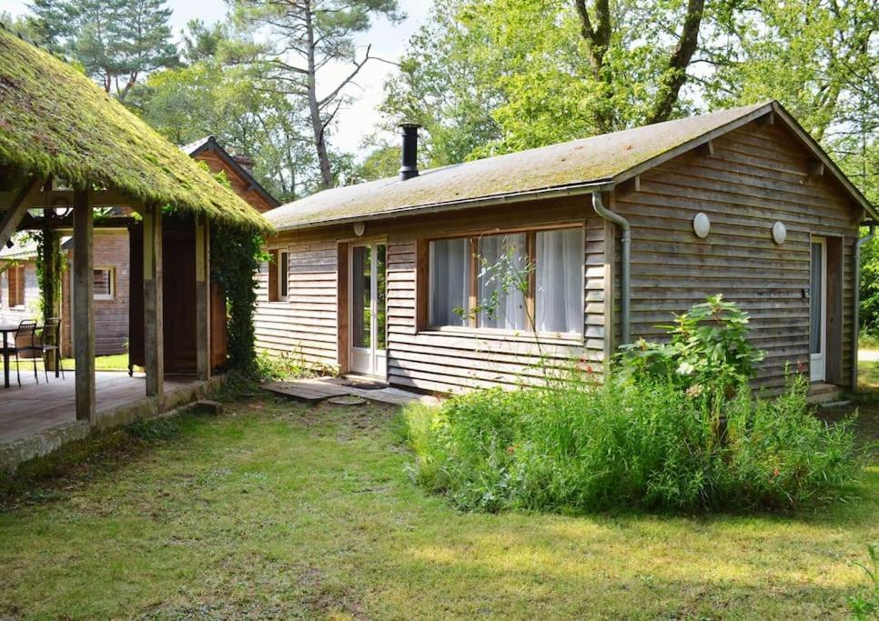 בינון Chalet Cosy Au Coeur De La Foret De Broceliande מראה חיצוני תמונה